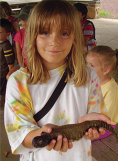 Kate Svitek Memorial Foundation